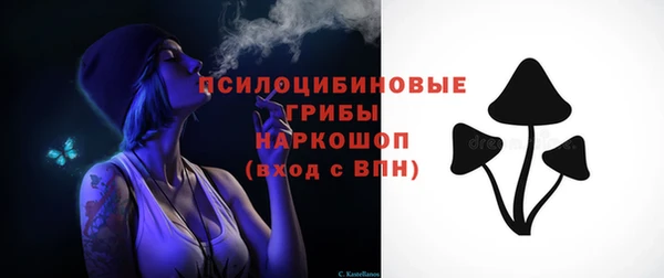 стафф Няндома
