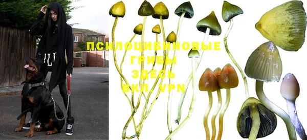 синтетический гашиш Горно-Алтайск