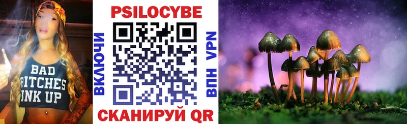 Псилоцибиновые грибы Cubensis  даркнет как зайти  Урень 